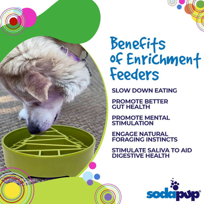 Light colored dog eating from green pine tree slow feeder bowl showing mental stimulation benefits