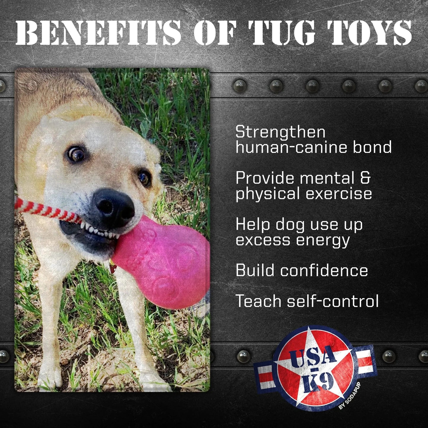 Dog playing with pink skull tug toy outdoors for exercise and bonding