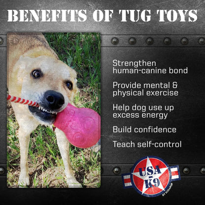 Dog playing with pink skull tug toy outdoors for exercise and bonding