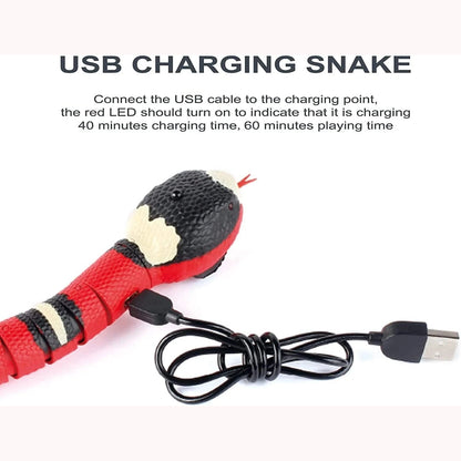 USB charging connection close-up of red and black robotic snake