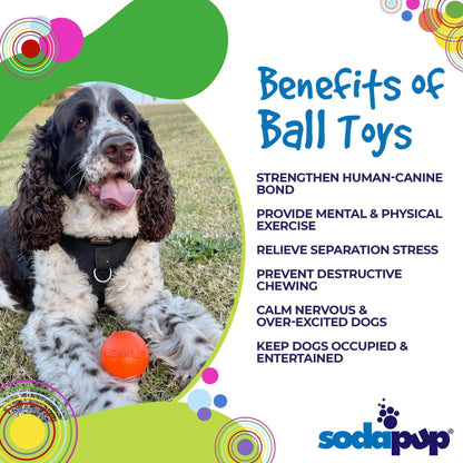 Orange smile ball fetch toy with spaniel on grass for exercise