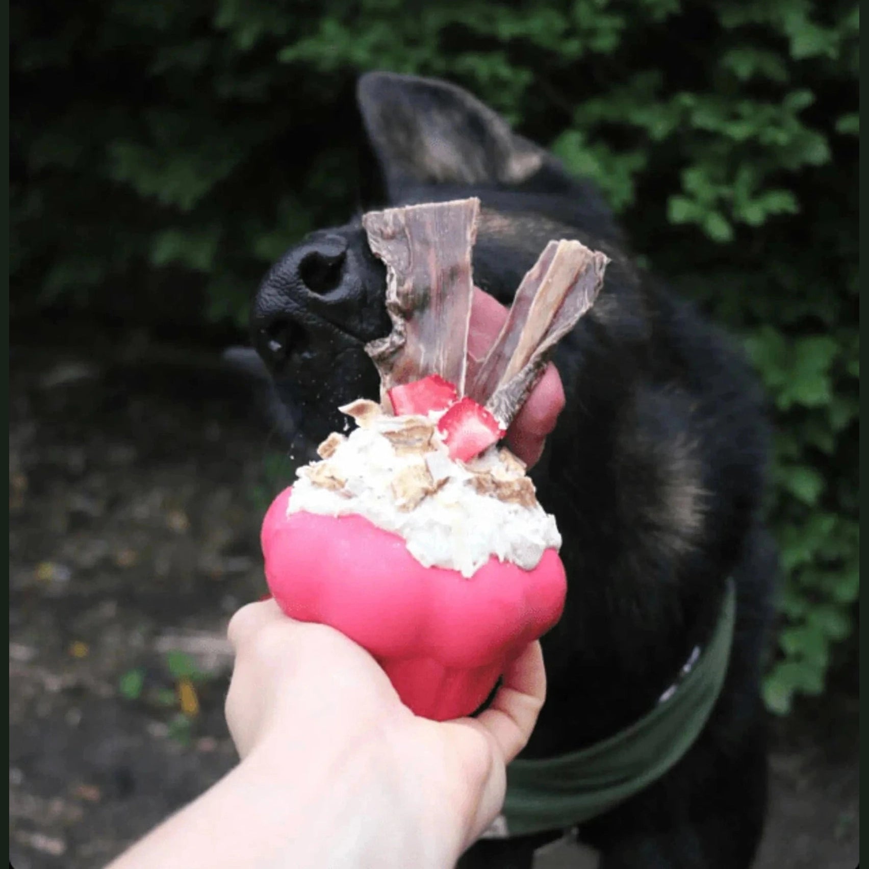 Pink cupcake rubber chew toy with treat cavity for dogs
