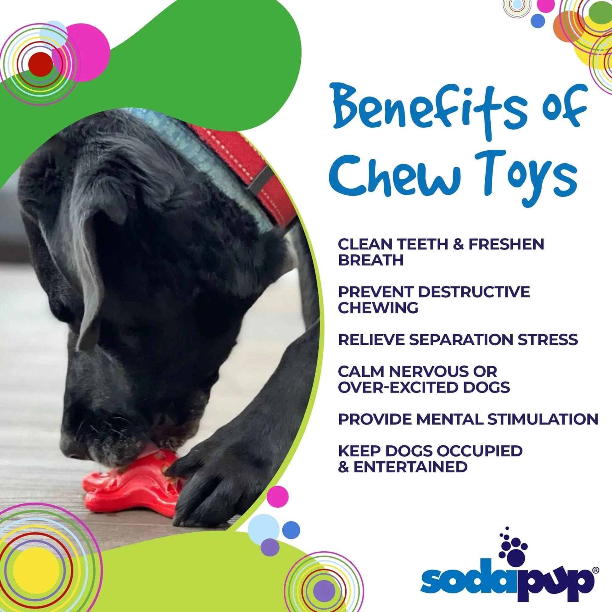 Benefits of starfish chew toys for dental health and stress relief