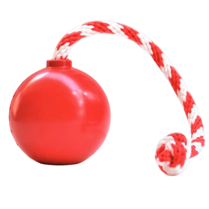 Red spherical rubber dog chew toy with knotted rope on white background