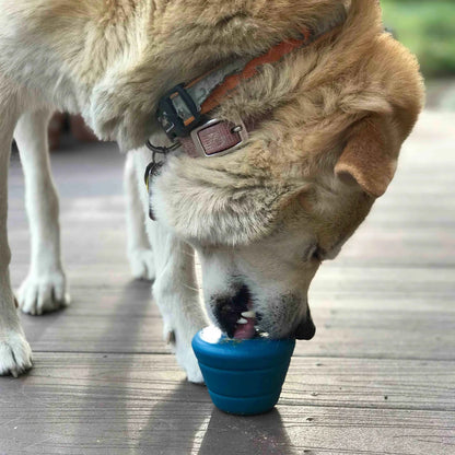 Brown and white dog licking blue cone-shaped heavy duty dog chew toy on deck
