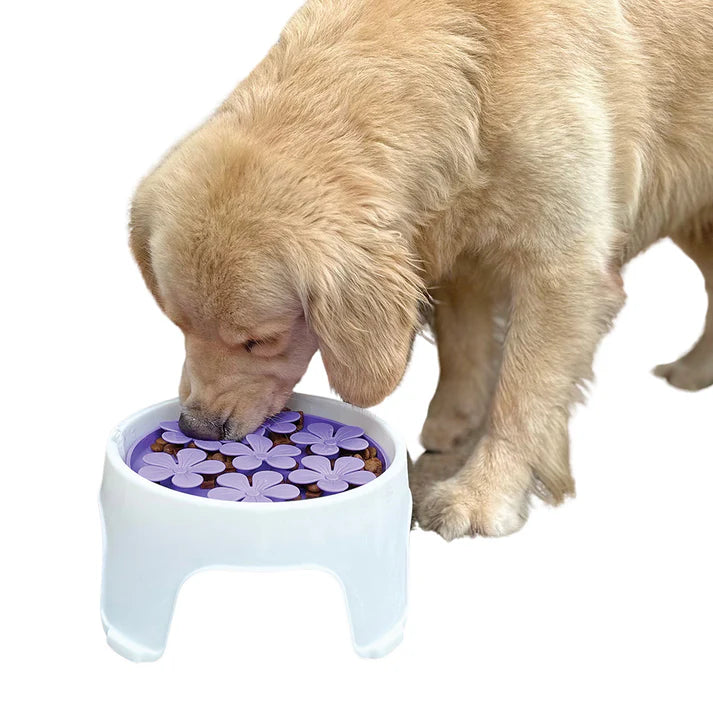 Spunky Pup white elevated slow feeder bowl with purple flower lick pad for dogs