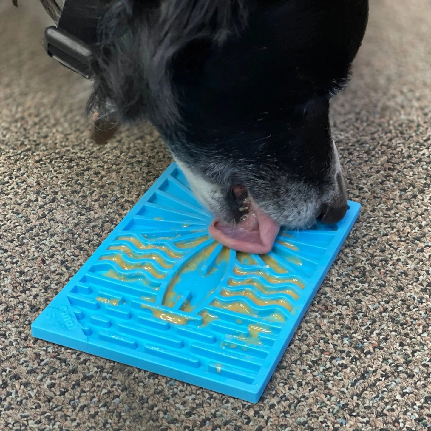 Small blue SodaPup Surf lick mat with peanut butter for dog anxiety relief