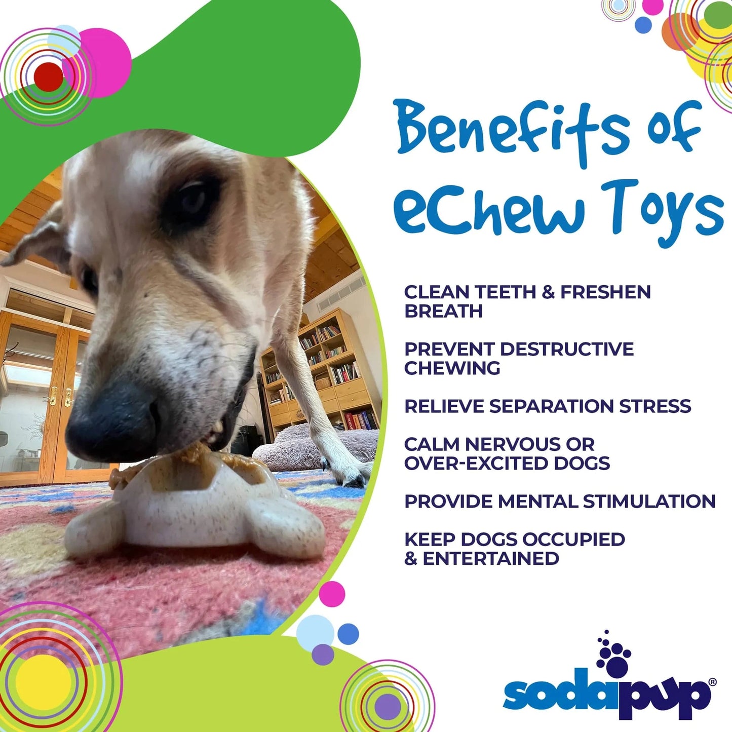 Brown dog chewing beige turtle puzzle toy to relieve stress and clean teeth