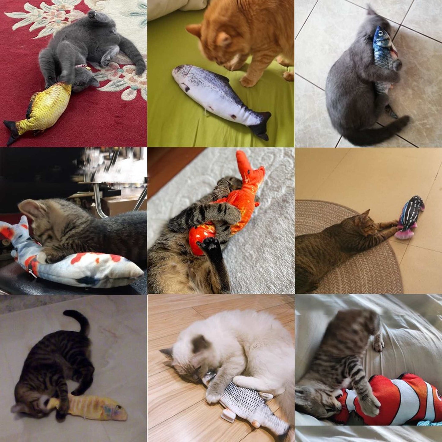 Cats playing with various colorful Viral Flopping Fish interactive toys on rugs and beds