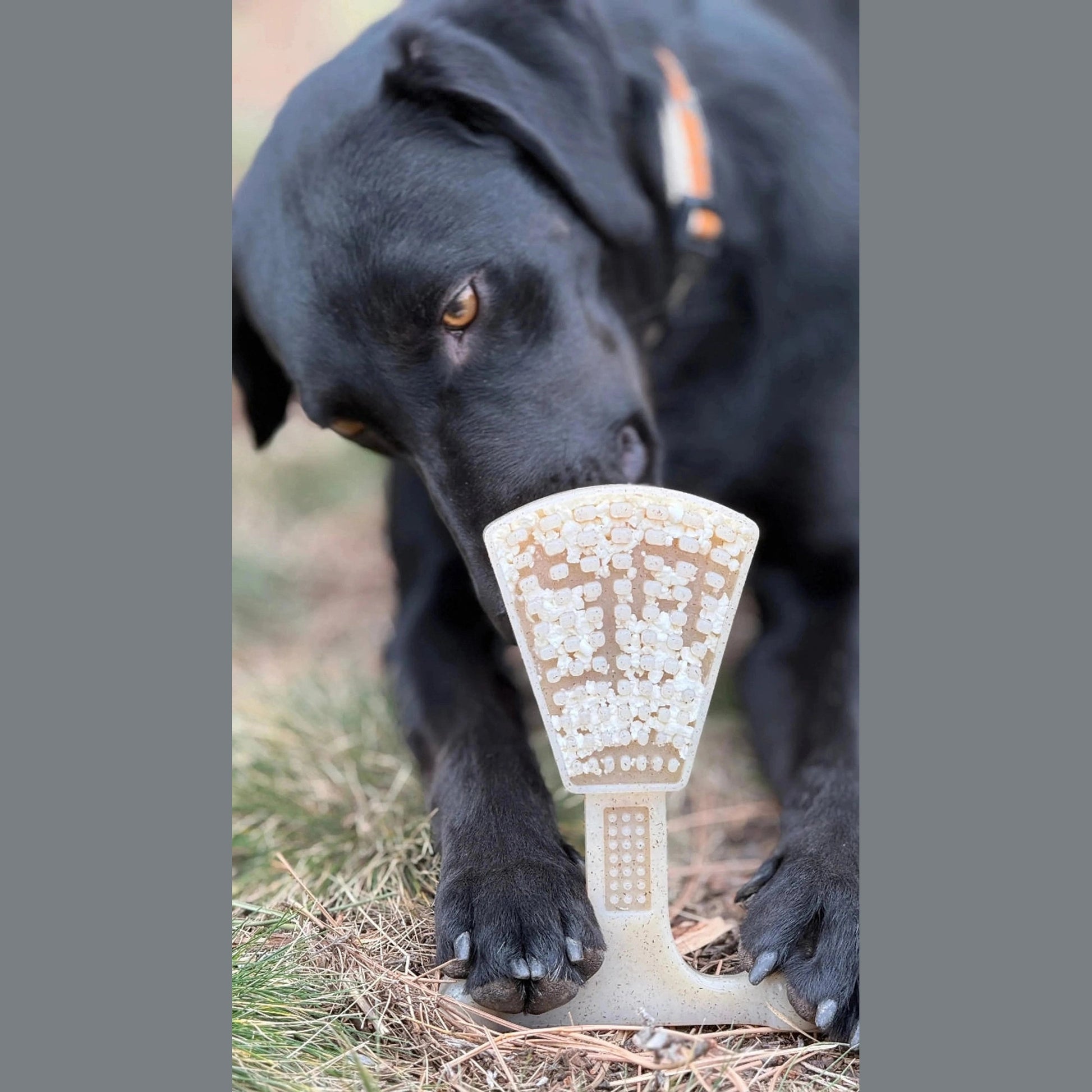 Black dog eating from textured waffle tower puzzle feeder on grass outdoors