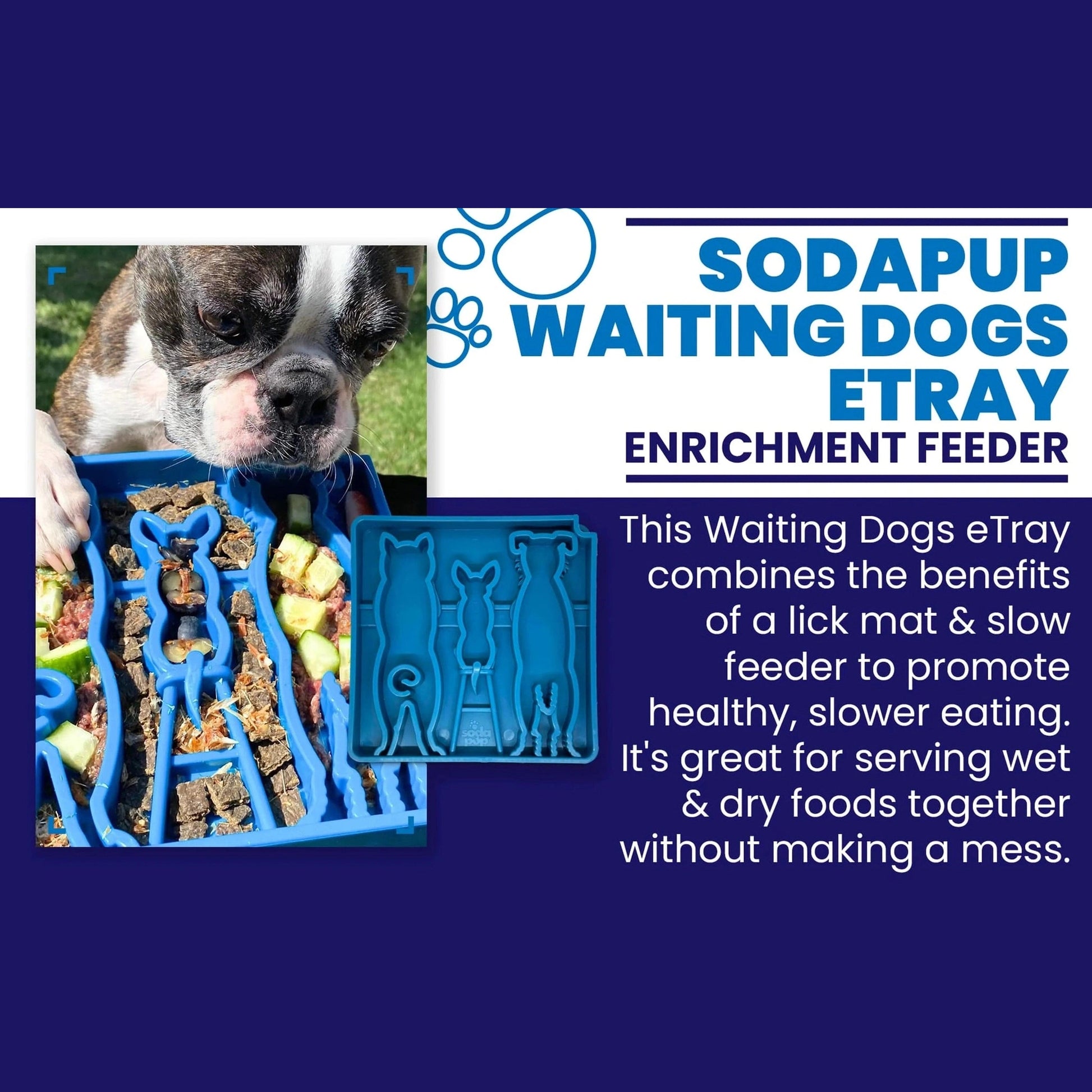 Waiting Dogs eTray Slow Feeder Bowl