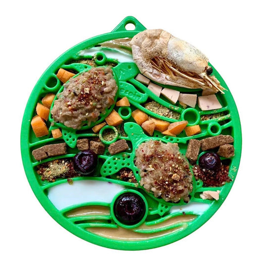 Water Nylon Ecoin Enrichment Snacking Coin For Dogs Dog Toy