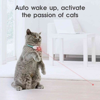 Gray cat chasing red laser dot from mint green wearable smart laser collar