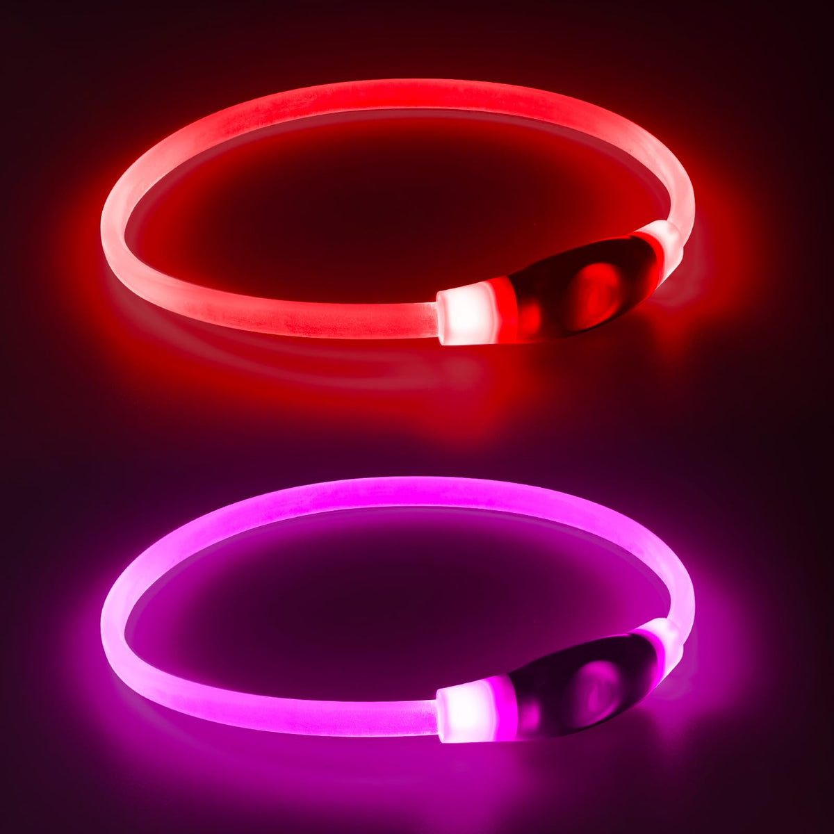 LED Dog Collars, 2 Pack